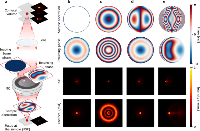 Figure 3 for Adaptive optics with reflected light and deep neural networks
