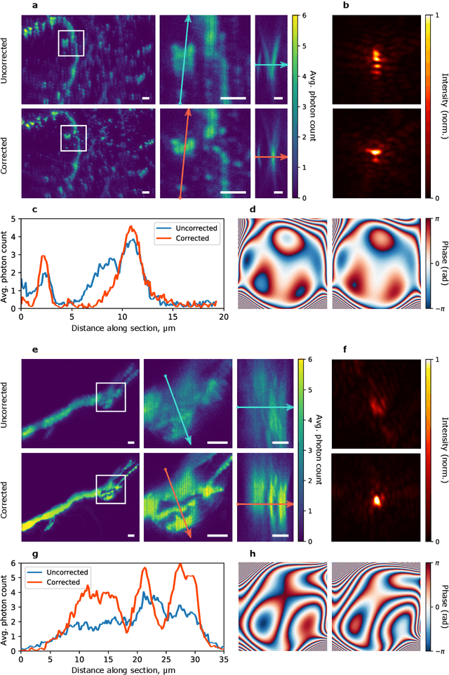 Figure 4 for Adaptive optics with reflected light and deep neural networks