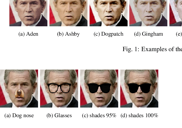 Figure 3 for On the Effect of Selfie Beautification Filters on Face Detection and Recognition