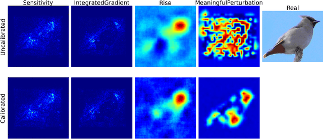 Figure 1 for Calibrate to Interpret