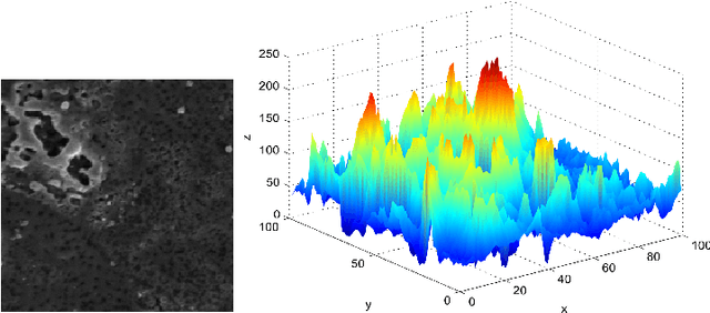 Figure 3 for Multiscale Fractal Descriptors Applied to Nanoscale Images