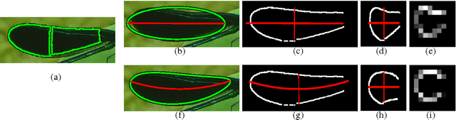 Figure 3 for A Framework for Symmetric Part Detection in Cluttered Scenes