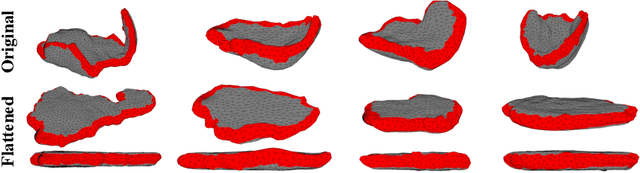 Figure 3 for Placental Flattening via Volumetric Parameterization