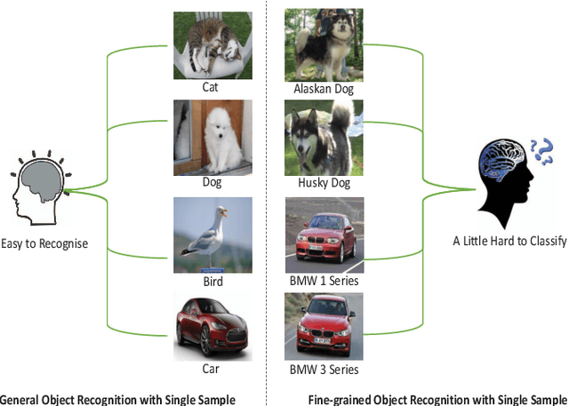 Figure 1 for Compare More Nuanced:Pairwise Alignment Bilinear Network For Few-shot Fine-grained Learning