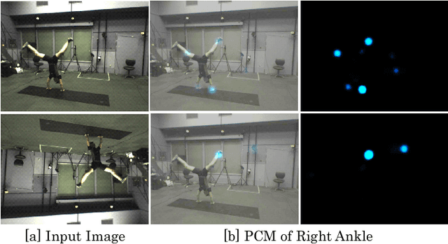 Figure 2 for Video Motion Capture from the Part Confidence Maps of Multi-Camera Images by Spatiotemporal Filtering Using the Human Skeletal Model