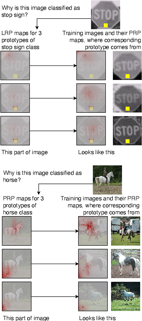 Figure 3 for This looks more like that: Enhancing Self-Explaining Models by Prototypical Relevance Propagation