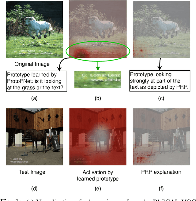 Figure 1 for This looks more like that: Enhancing Self-Explaining Models by Prototypical Relevance Propagation
