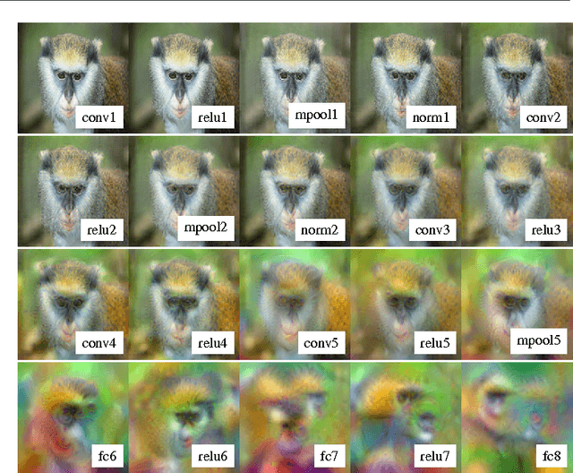 Figure 2 for Understanding Deep Image Representations by Inverting Them