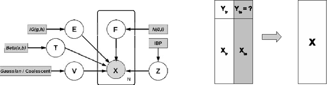 Figure 1 for The Infinite Hierarchical Factor Regression Model