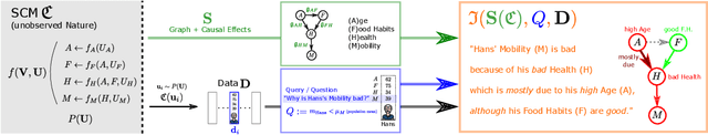 Figure 3 for Structural Causal Interpretation Theorem