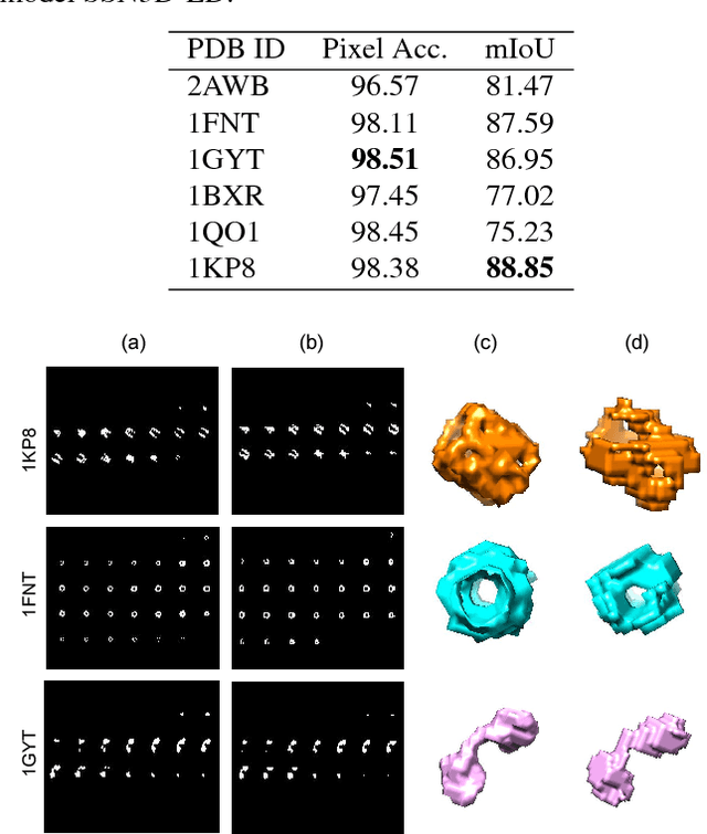 Figure 3 for Deep learning based supervised semantic segmentation of Electron Cryo-Subtomograms