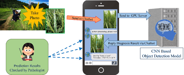 Figure 1 for Automatic Detection of Rice Disease in Images of Various Leaf Sizes