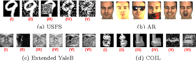 Figure 1 for Joint Projection and Dictionary Learning using Low-rank Regularization and Graph Constraints