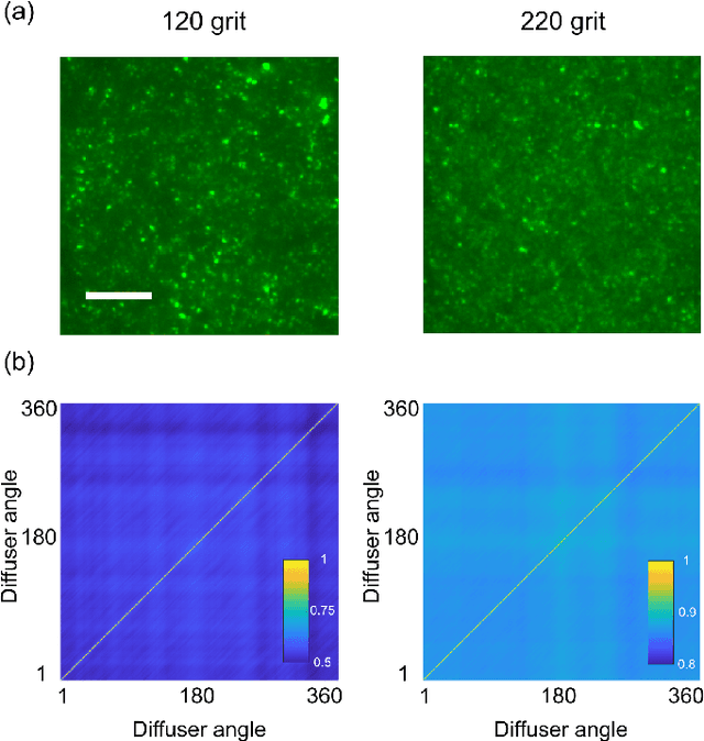 Figure 3 for Single-pixel diffuser camera