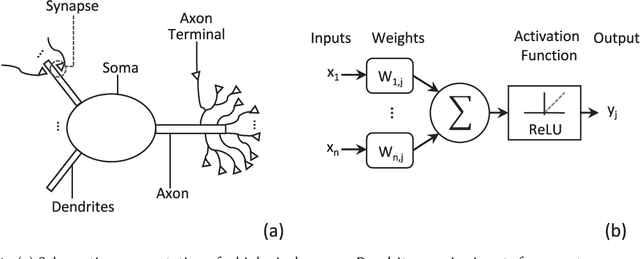 Figure 1 for Spiking Neural Networks Hardware Implementations and Challenges: a Survey