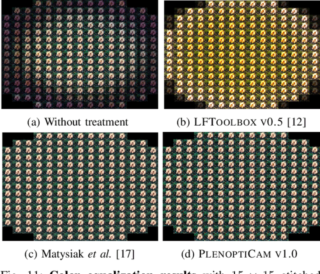 Figure 3 for PlenoptiCam v1.0: A light-field imaging framework