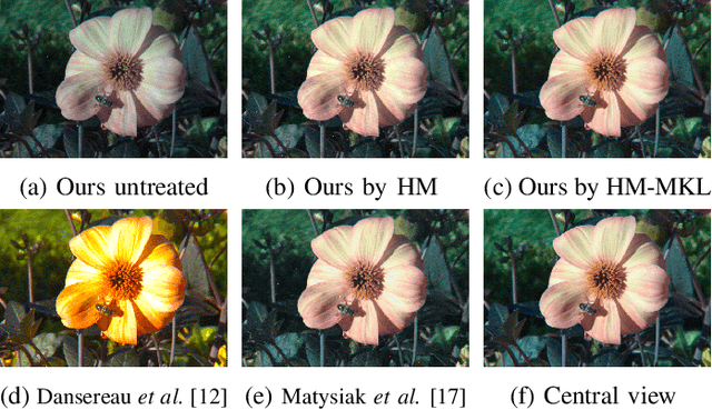 Figure 4 for PlenoptiCam v1.0: A light-field imaging framework