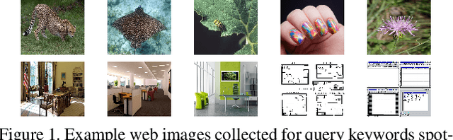 Figure 1 for Rectifying Self Organizing Maps for Automatic Concept Learning from Web Images