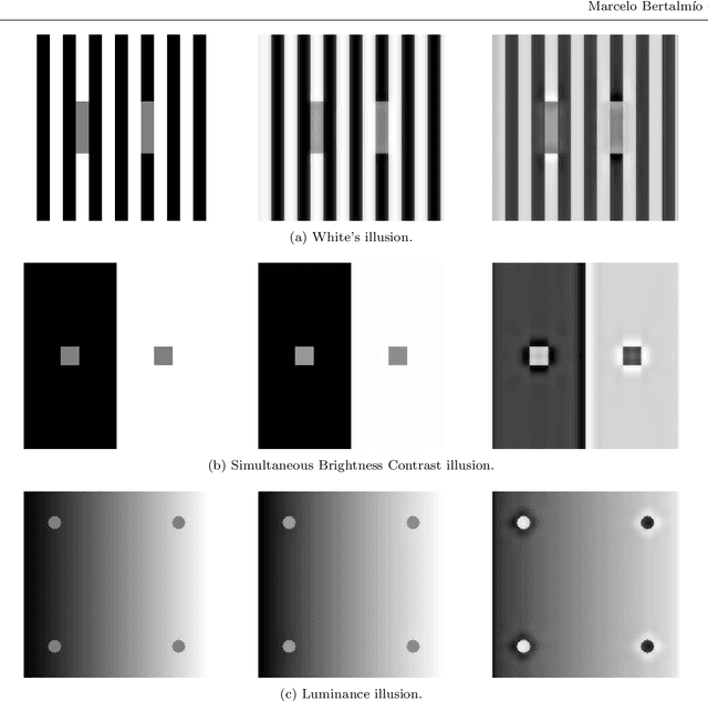 Figure 3 for Cortical-inspired Wilson-Cowan-type equations for orientation-dependent contrast perception modelling
