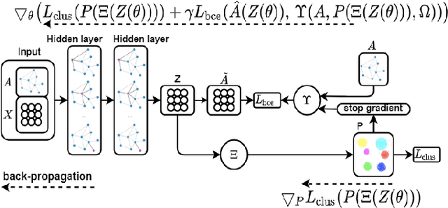 Figure 1 for Rethinking Graph Auto-Encoder Models for Attributed Graph Clustering