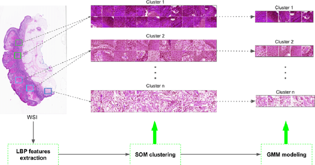 Figure 4 for Patch Clustering for Representation of Histopathology Images