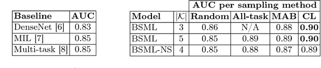 Figure 2 for Training Medical Image Analysis Systems like Radiologists