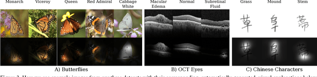 Figure 3 for Teaching Categories to Human Learners with Visual Explanations