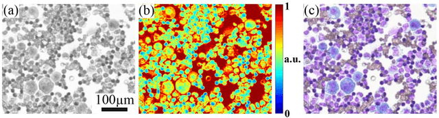 Figure 1 for High-throughput fast full-color digital pathology based on Fourier ptychographic microscopy via color transfer