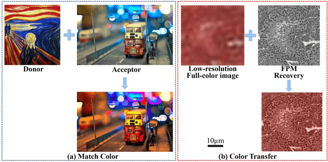 Figure 2 for High-throughput fast full-color digital pathology based on Fourier ptychographic microscopy via color transfer