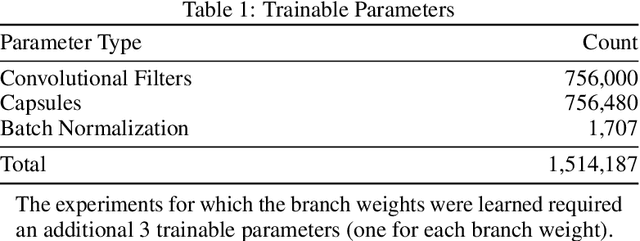 Figure 2 for A Branching and Merging Convolutional Network with Homogeneous Filter Capsules