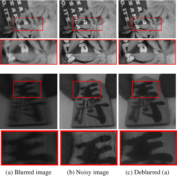 Figure 1 for Kernel-Free Image Deblurring with a Pair of Blurred/Noisy Images