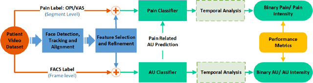 Figure 1 for Automated Pain Detection from Facial Expressions using FACS: A Review