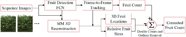 Figure 2 for Robust Fruit Counting: Combining Deep Learning, Tracking, and Structure from Motion