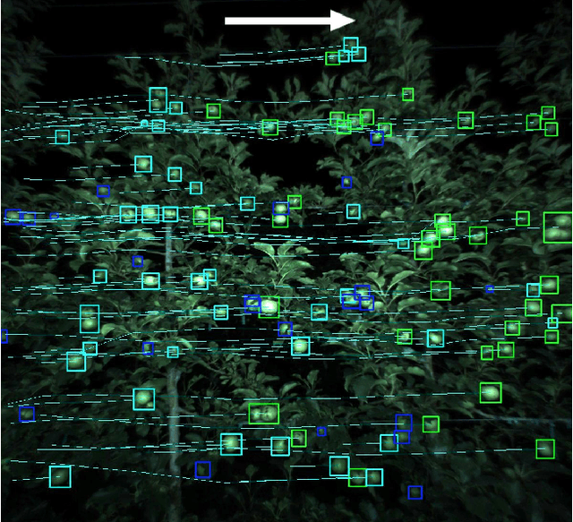 Figure 4 for Robust Fruit Counting: Combining Deep Learning, Tracking, and Structure from Motion