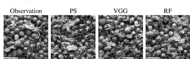 Figure 1 for Generalized Rectifier Wavelet Covariance Models For Texture Synthesis