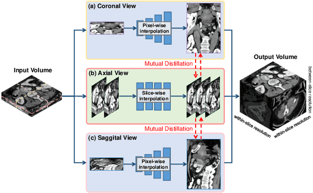 Figure 1 for Incremental Cross-view Mutual Distillation for Self-supervised Medical CT Synthesis
