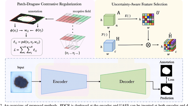 Figure 3 for Contrastive and Selective Hidden Embeddings for Medical Image Segmentation