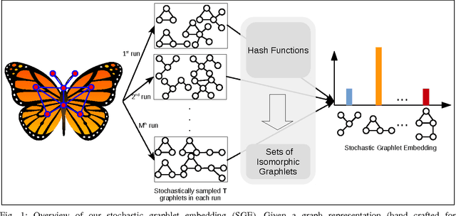 Figure 1 for High Order Stochastic Graphlet Embedding for Graph-Based Pattern Recognition