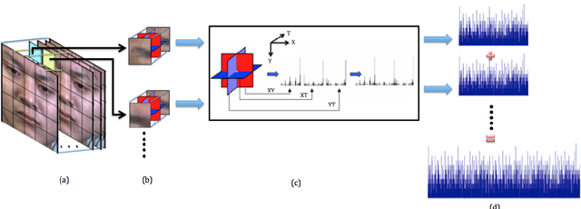 Figure 3 for Spontaneous Subtle Expression Detection and Recognition based on Facial Strain