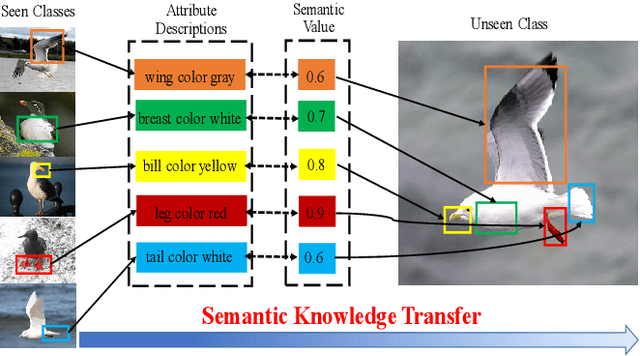 Figure 1 for MSDN: Mutually Semantic Distillation Network for Zero-Shot Learning