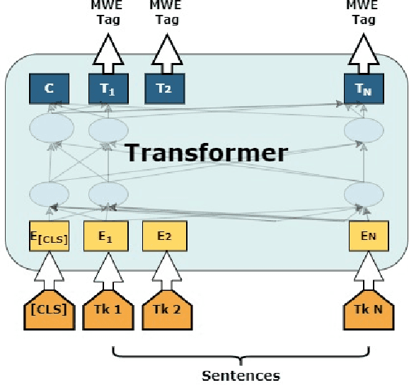 Figure 1 for Transformer-based Detection of Multiword Expressions in Flower and Plant Names