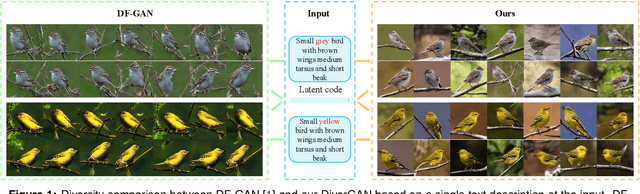 Figure 1 for DiverGAN: An Efficient and Effective Single-Stage Framework for Diverse Text-to-Image Generation