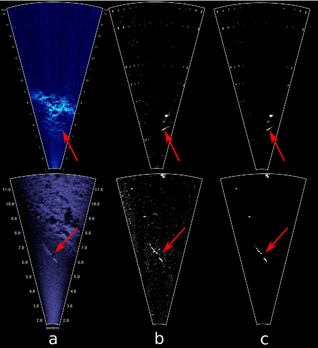 Figure 1 for A deep neural network for multi-species fish detection using multiple acoustic cameras