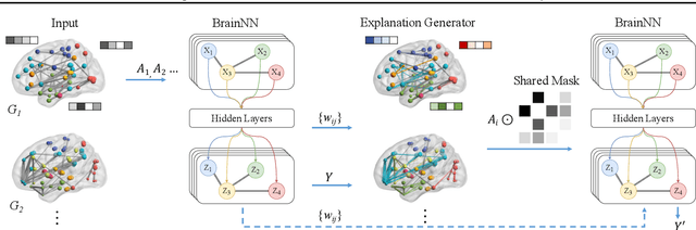 Figure 1 for BrainNNExplainer: An Interpretable Graph Neural Network Framework for Brain Network based Disease Analysis