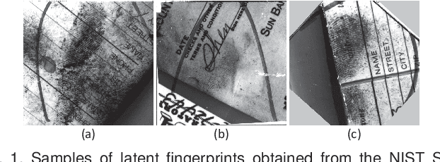 Figure 1 for Pair-Relationship Modeling for Latent Fingerprint Recognition