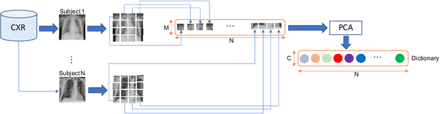 Figure 3 for Tiled sparse coding in eigenspaces for the COVID-19 diagnosis in chest X-ray images