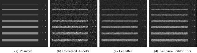 Figure 1 for A New Algorithm of Speckle Filtering using Stochastic Distances