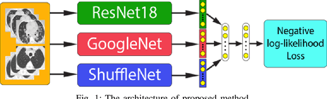 Figure 1 for Diagnosis of COVID-19 disease using CT scan images and pre-trained models