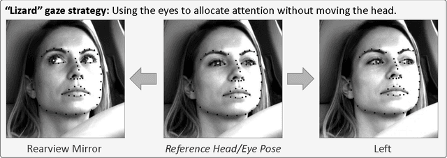 Figure 1 for Owl and Lizard: Patterns of Head Pose and Eye Pose in Driver Gaze Classification