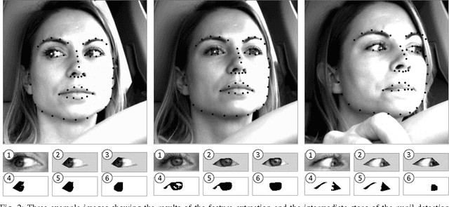 Figure 2 for Owl and Lizard: Patterns of Head Pose and Eye Pose in Driver Gaze Classification
